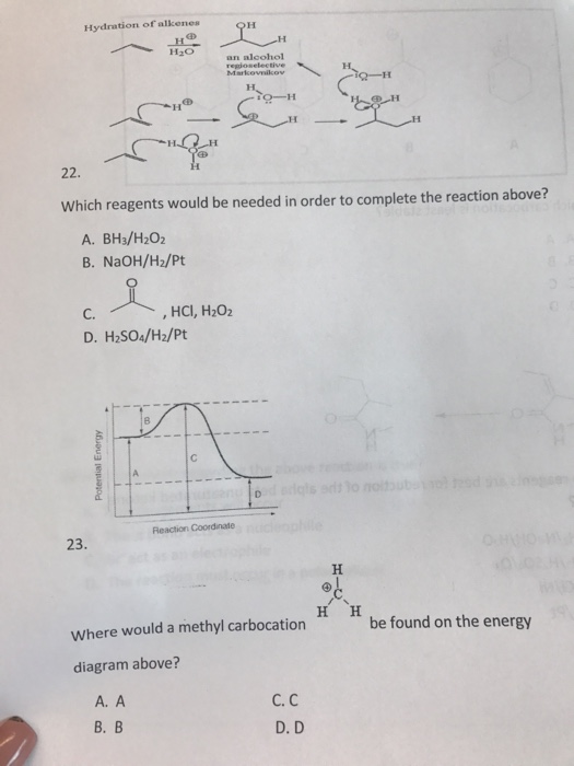 Hydration of alkenes H H2O an alcohol 22. Which reagents would be needed in order to complete the reaction above? A. BH3/H202 B. NaOH/H2/Pt C. , HCI, H202 D. H2SO4/H2/Pt Reaction Coordinate 23. be found on the energy Where would a methyl carbocation diagram above? A. A B. B C. C D. D
