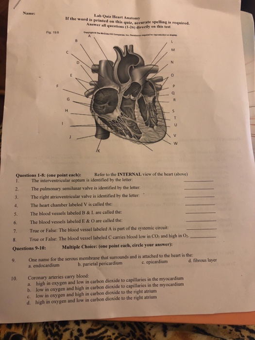 Anatomy of the Heart Quiz