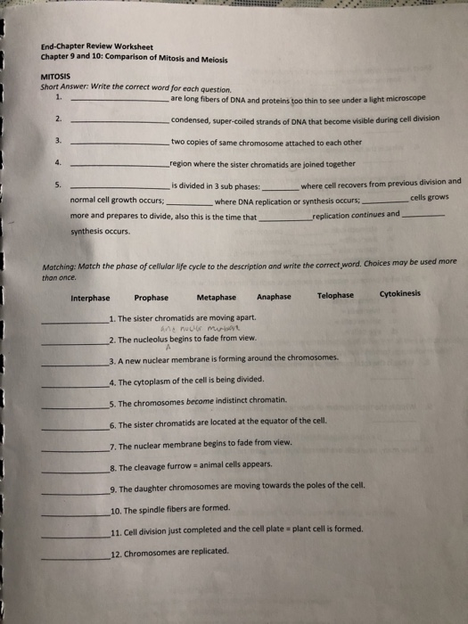 End Chapter Review Worksheet Chapter 9 And 10 Chegg Com