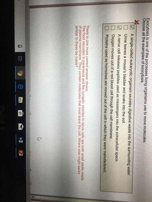 Solved Exocytosis Is One Of The Processes Living Organisms Chegg Com