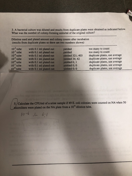 Solved Calculate The Cfu Ml Of A Urine Sample If 49 E Co Chegg Com