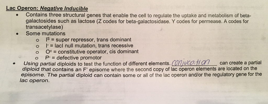 Solved Determine The Outcome For The Lac Operon Genotype Chegg Com