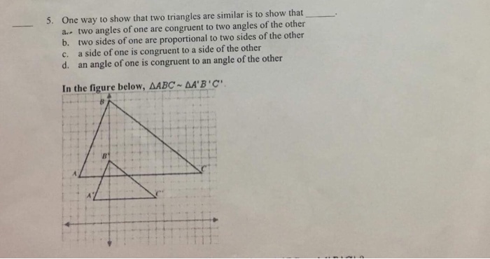 Solved One Way To Show That Two Triangles Are Similar Is Chegg Com