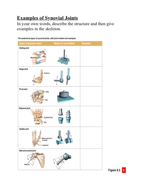 gliding joint examples