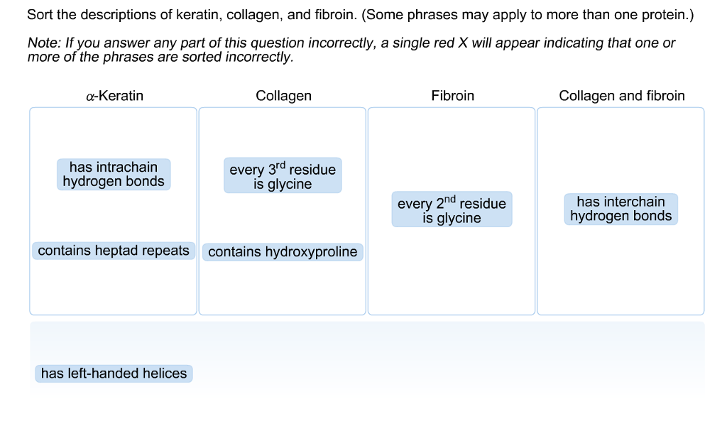 Solved Sort The Descriptions Of Keratin Collagen And Fi Chegg Com