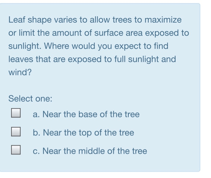 Leaf shape varies to allow trees to maximize or limit the amount of surface area exposed to sunlight. Where would you expect to find leaves that are exposed to full sunlight and wind? Select one: a. Near the base of the tree b. Near the top of the tree C. Near the middle of the tree