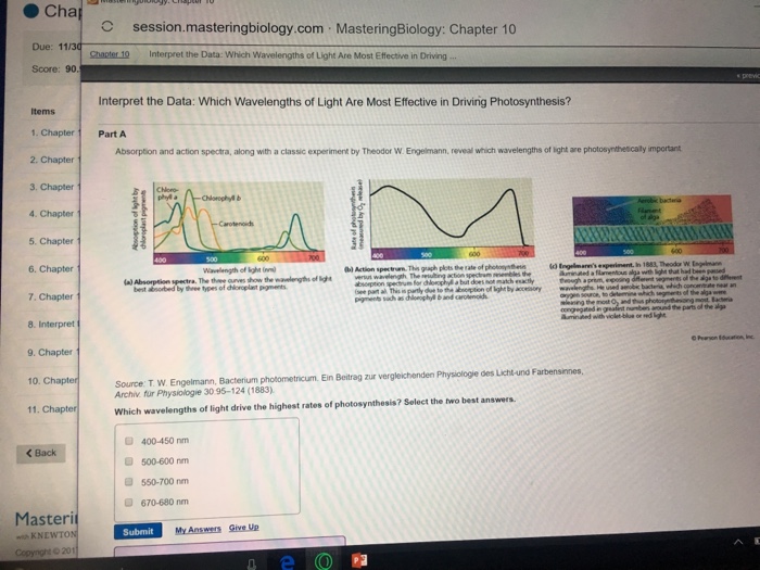 Which Wavelengths Of Light Are Most Effective In Driving Photosynthesis