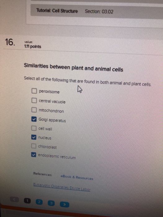 Tutorial Cel Structure Section 03 02 16 Value 111 Chegg Com