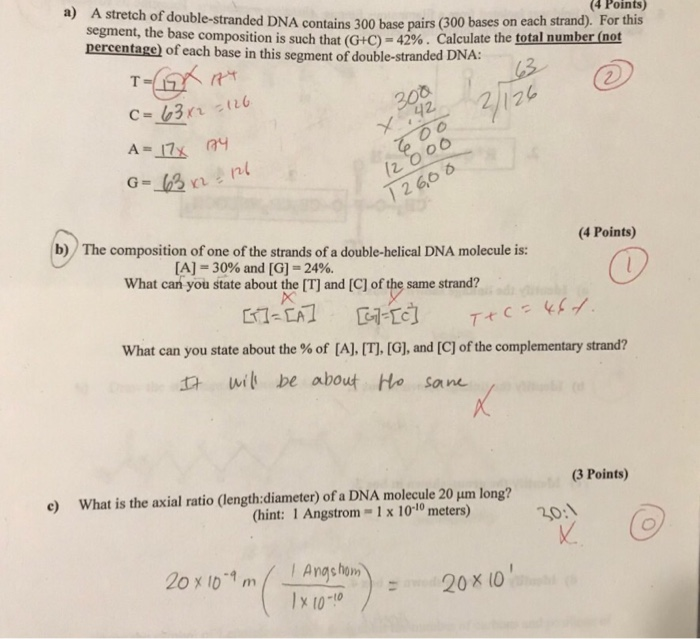 Solved A 4 Points A Stretch Of Double Stranded Dna Cont Chegg Com