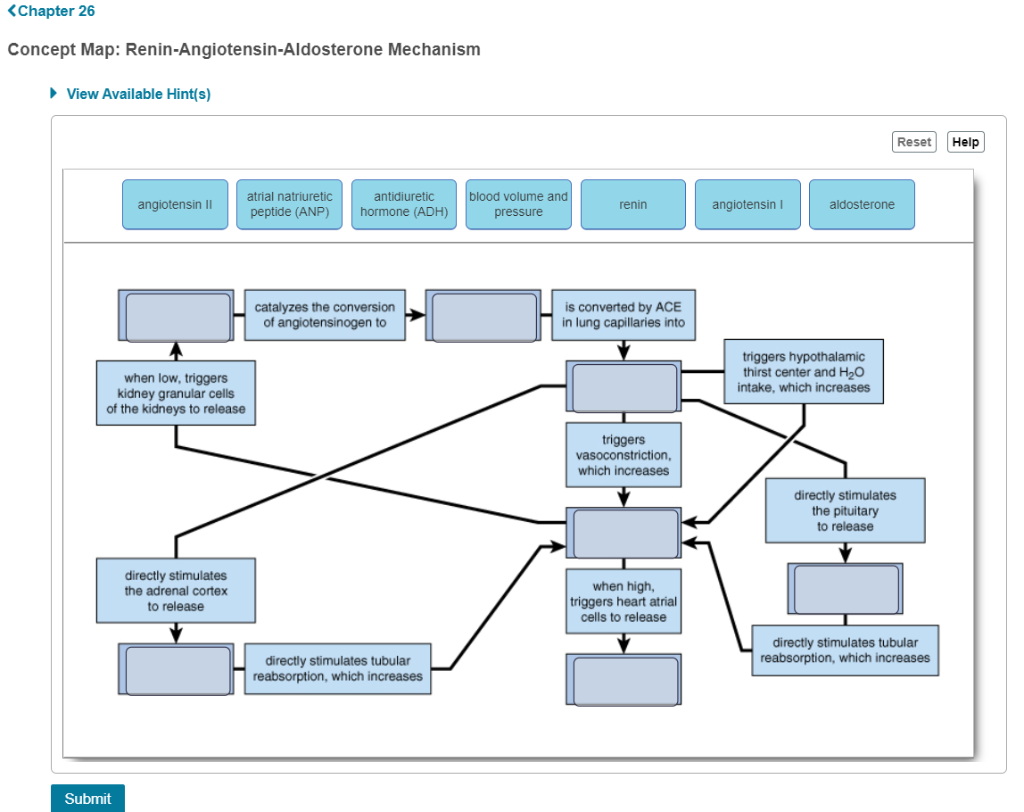 Concept Map: Renin-Angiotensin-Aldosterone Mechanism Solved: Chapter 26 Concept Map: Renin Angiotensin Aldoster 