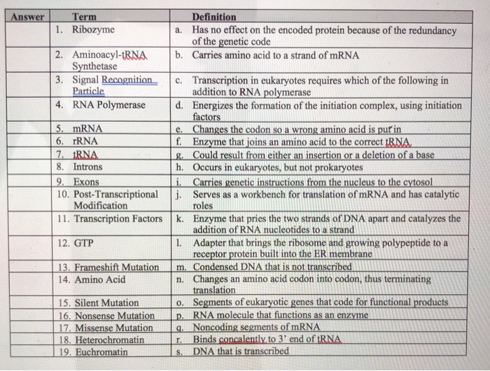 ribozyme definition