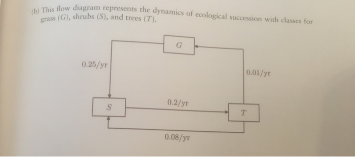 Flow Chart Of Ecological Succession