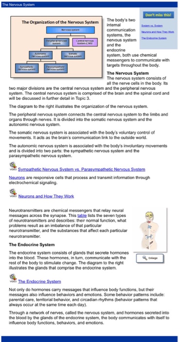 Solved What Role Does The Brain Play In The Study Of Psyc Chegg Com