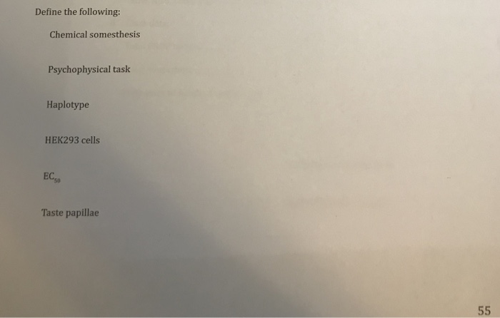 Somesthesis definition image