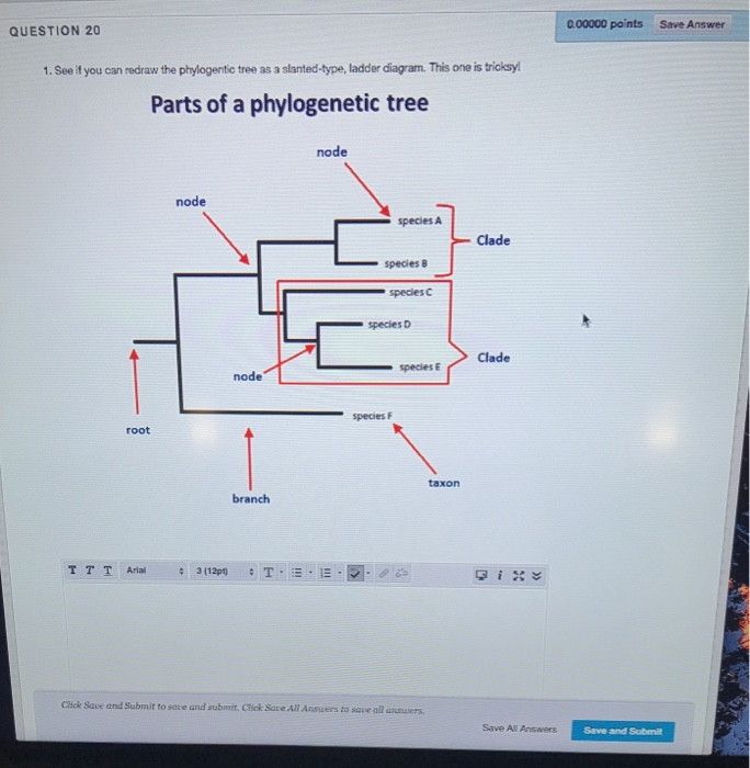 Of tree phylogenetic parts a Structure of