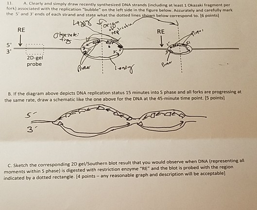 11 a clearly and simply draw recently
