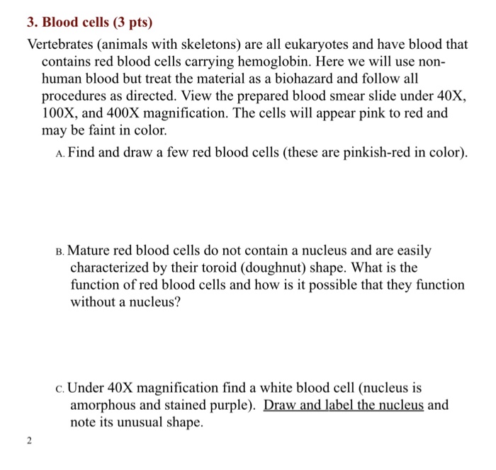 Solved 3. Blood cells (3 pts) Vertebrates (animals with 