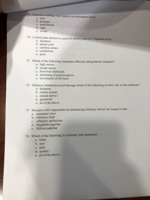 Solved 69 Free Nerve Endings That Function As Nociceptor Chegg Com