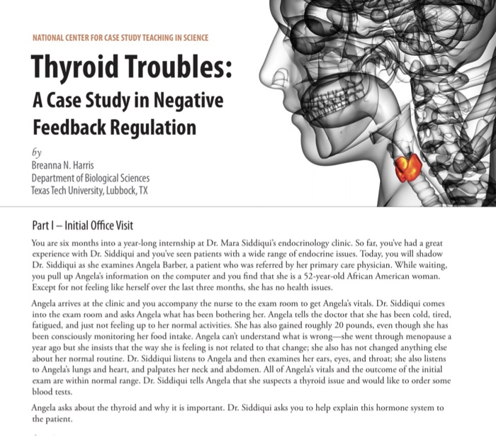 Thyroid positive feedback loop picture