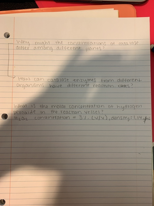 t the conemrations of cata loe difter am Hou con cosa lase ous-can-catalase-enzymes from different ns base different reachon xetes 0 hat 1 the molar concontration ot hudrogtn peroxiden the reaction Vessel2