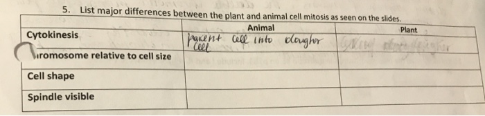 Solved: 5. List Major Differences Between The Plant And An ...