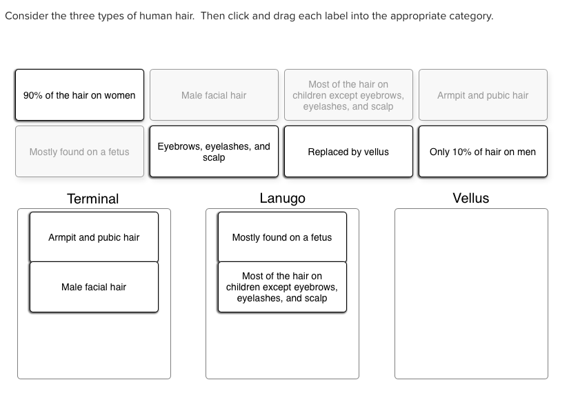 Solved Consider The Three Types Of Human Hair Then Click