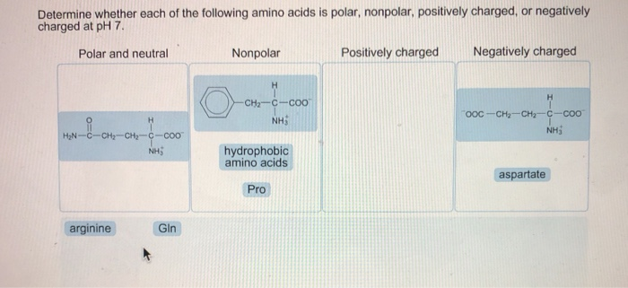 are hydrophobic amino acids polar or nonpolar