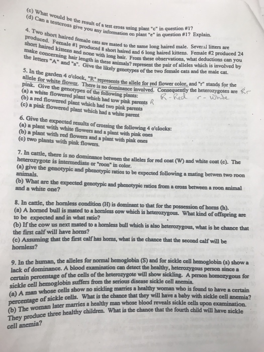Solved E What Would Be The Result Of A Test Cross Using