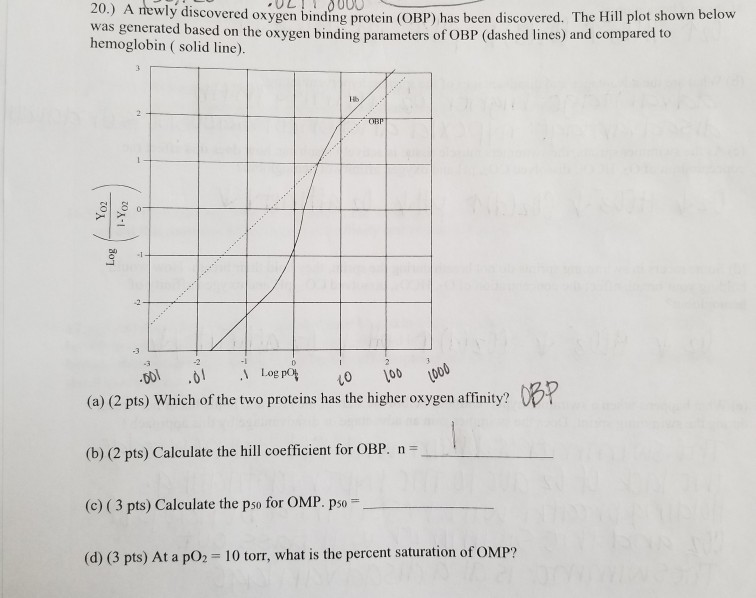 Solved A New Oxygen Binding Protein Obp Has Been Discov Chegg Com