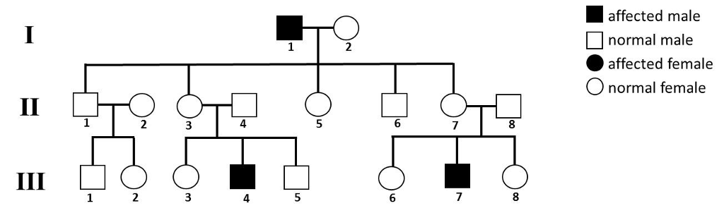 turner syndrome pedigree chart