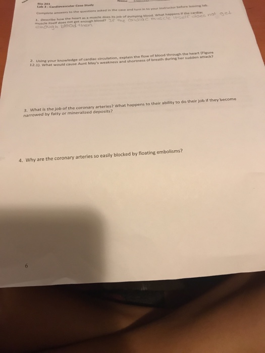 Cardiac muscle histology picture