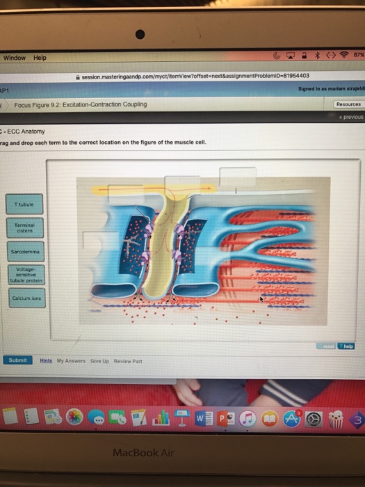 form contract cell c 22,  Biology February Archive 2017    Chegg.com