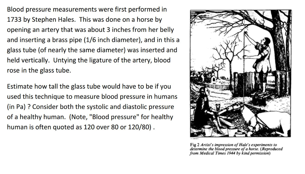 first measurement of blood pressure