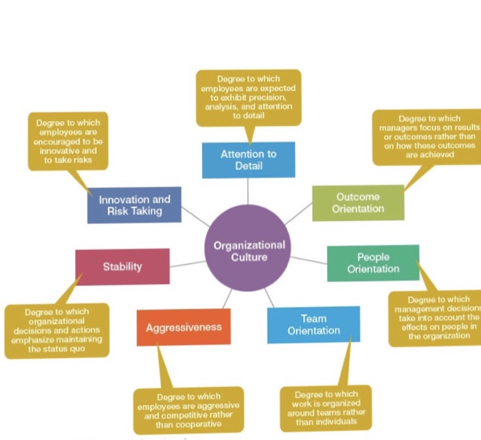 Degroo to which omployoos aro oxpoctod to exhibit precision, analysis, and attention to dotail Dogreo to which omployees are oncouragod to be innovative and to tako risks Dogroo to which managors focus on rosults or outcomes rather than on how these outcomes are achieved Attention to Detail Innovation and Risk Taking Outcome Orientation Organizational Culture People Orientation Stability Dogroo to which organizational decisions and actions emphasize maintaining tho status quo Degree to which managomont decisiorn tako into account tho offects on peoplo in the organization Team Orientation Aggressiveness Dogroo to which employoos are aggrossive and competitive rather than cooperative Degree to which work is organized around teams rather than individuals
