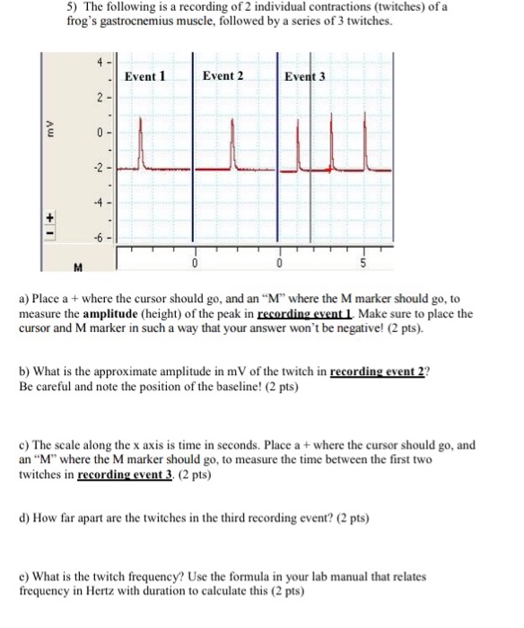 Frog gastrocnemius muscle lab report picture