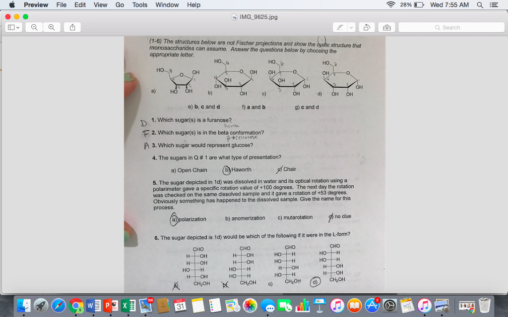 Solved Could You Please Help Me By Going Over These And G Chegg Com