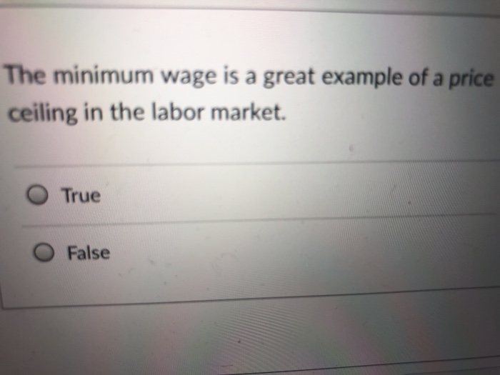 Solved The Minimum Wage Is A Great Example Of A Price Cei