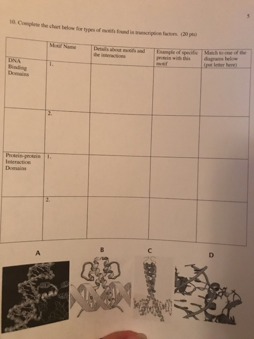 types of motif