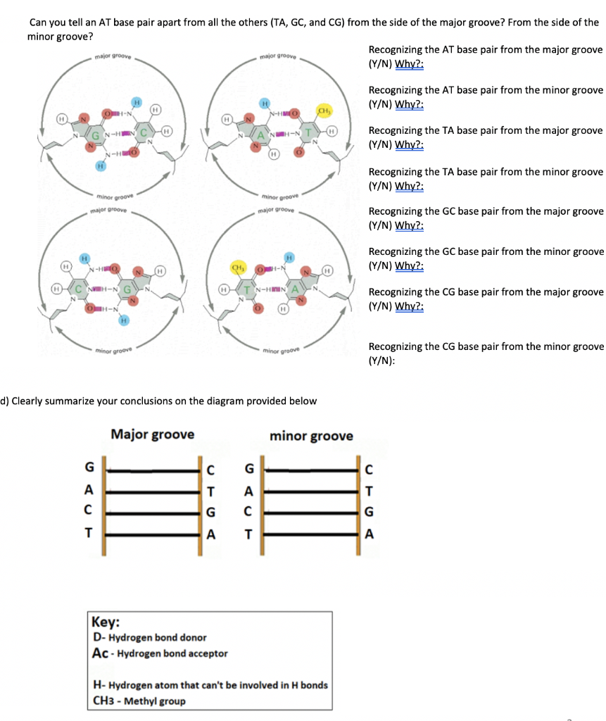 Solved Can You Tell An At Base Pair Apart From All The Ot Chegg Com