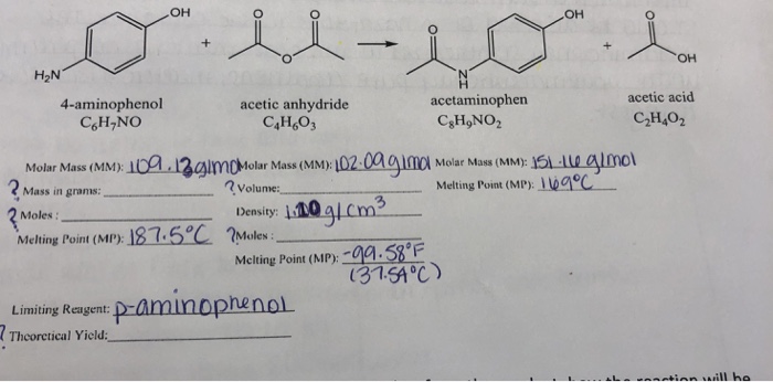 How does tylenol affect the nervous system picture