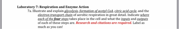 Solved No Illustration Needed But Please Help With Explai Chegg Com