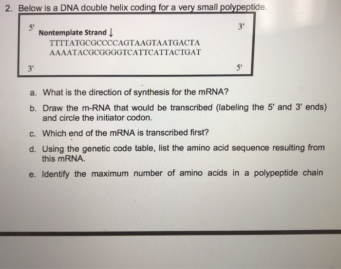 double helix code