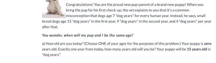 how old is 22 in dog years