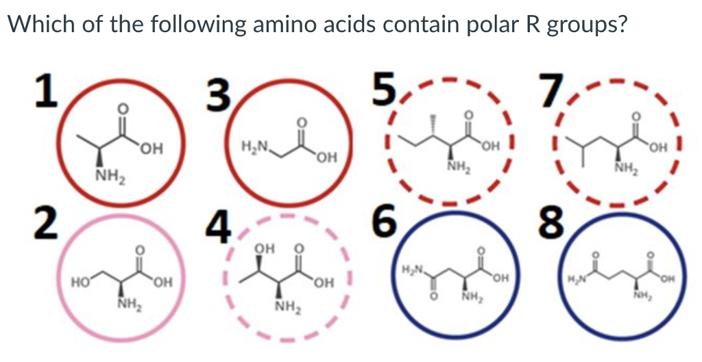 Solved Which Of The Following Amino Acids Contain Polar R 5922