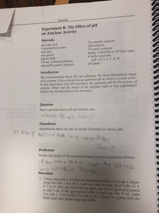 Biology 1113 Lab 4 Enzymes Reading Lab Manual Pp Chegg 