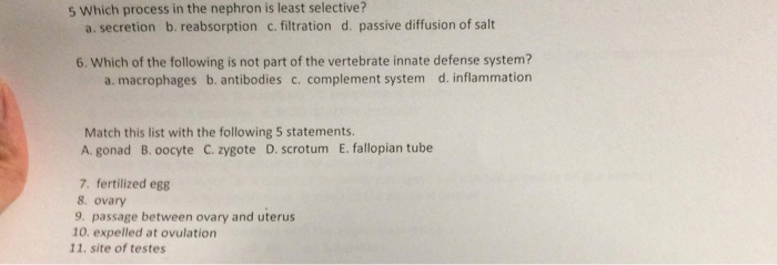 Solved 5 Which Process In The Nephron Is Least Selective? A. | Chegg.com