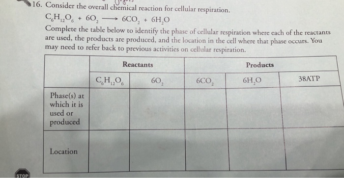cellular respiration reactants and products chart