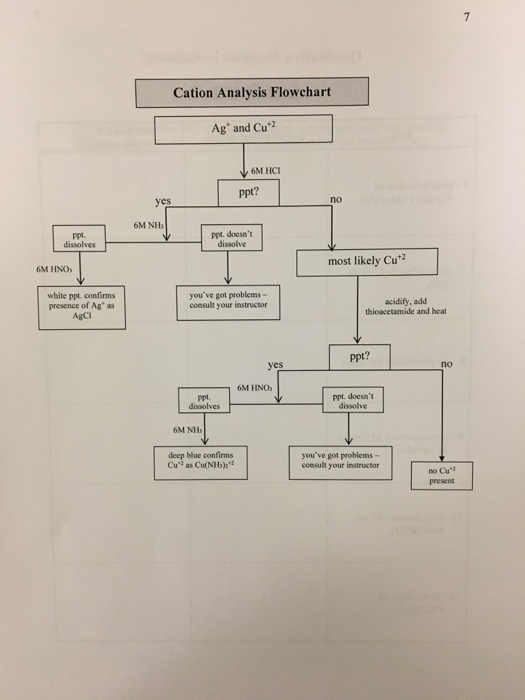 Group Ii Cations Lab This Is The Flow Chart Of Th Chegg Com
