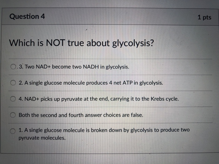 Question 4 1 pts Which is NOT true about glycolysis? о.З. Two NAD+ become two NADH in glycolysis. O 2. A single glucose molecule produces 4 net ATP in glycolysis 4. NAD+ picks up pyruvate at the end, carrying it to the Krebs cycle Both the second and fourth answer choices are false. 1. A single glucose molecule is broken down by glycolysis to produce two pyruvate molecules