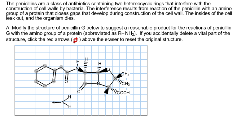 Solved The Penicillins Are A Class Of Antibiotics Contain Chegg Com